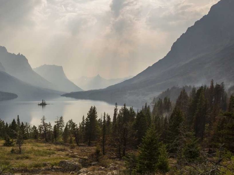 Preséntate (entrada de&nbsp;muestra)